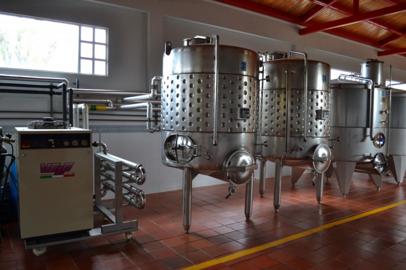 cave-MONTAUROUX-min_wine_production_cantine_winery_drink_alcohol_vine_beverage-902036